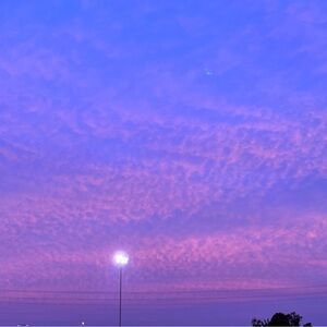 Meet your Posher, Saylin